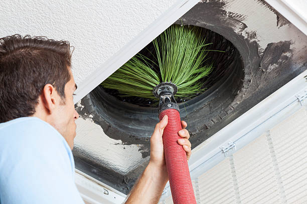 Best Air Vent Cleaning Services  in Bear Creek, FL